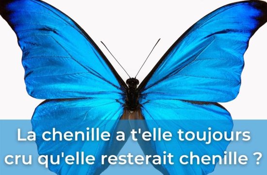 Coaching et croyances limitantes